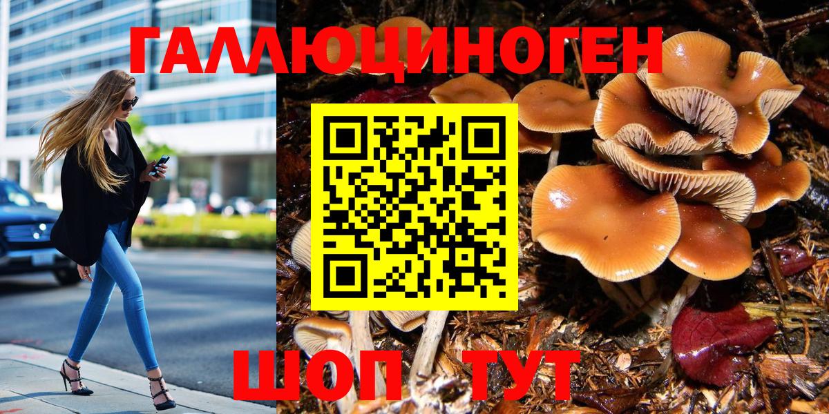 Псилоцибиновые грибы Psilocybine cubensis  Галлюциногенные грибы Magic Shrooms  Вход с VPN  Кемерово 